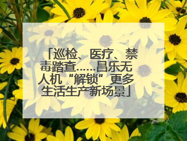 巡检、医疗、禁毒踏查……昌乐无人机“解锁”更多生活生产新场景
