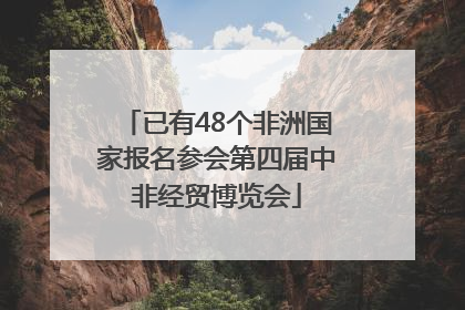 已有48个非洲国家报名参会第四届中非经贸博览会