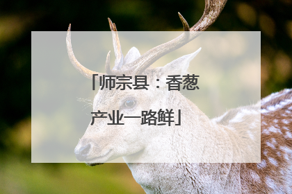 师宗县：香葱产业一路鲜