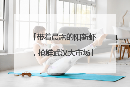 带着晨露的阳新虾，抢鲜武汉大市场