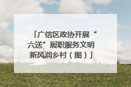 广信区政协开展“六送”履职服务文明新风润乡村（图）