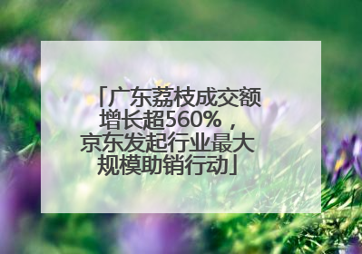 广东荔枝成交额增长超560%，京东发起行业最大规模助销行动