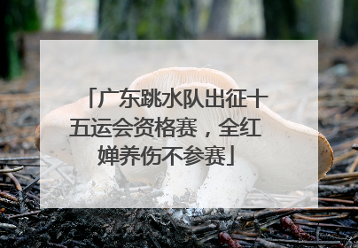 广东跳水队出征十五运会资格赛，全红婵养伤不参赛