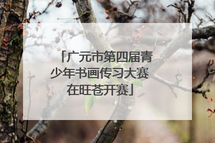 广元市第四届青少年书画传习大赛在旺苍开赛