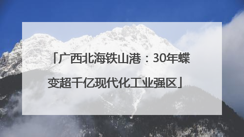 广西北海铁山港：30年蝶变超千亿现代化工业强区
