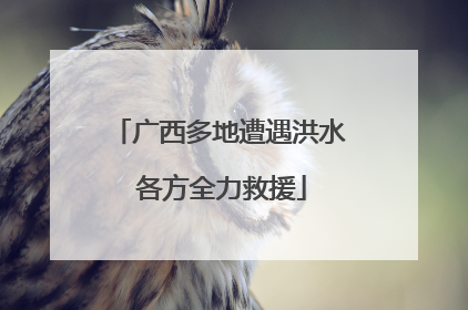 广西多地遭遇洪水 各方全力救援