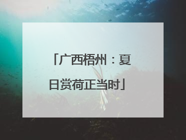 广西梧州：夏日赏荷正当时