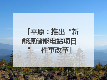 平原：推出“新能源储能电站项目”一件事改革