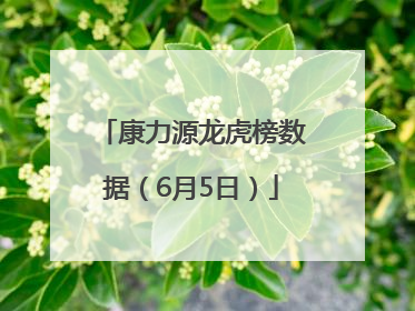 康力源龙虎榜数据（6月5日）