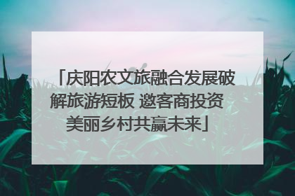 庆阳农文旅融合发展破解旅游短板 邀客商投资美丽乡村共赢未来