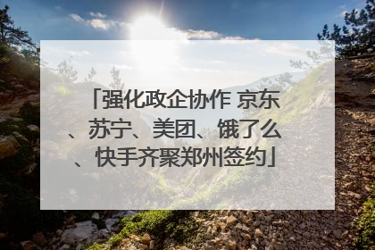 强化政企协作 京东、苏宁、美团、饿了么、快手齐聚郑州签约