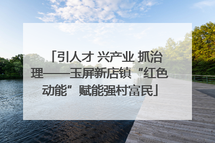 引人才 兴产业 抓治理——玉屏新店镇“红色动能”赋能强村富民