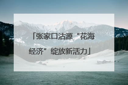 张家口沽源“花海经济”绽放新活力