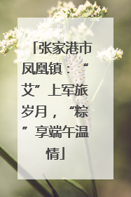 张家港市凤凰镇：“艾”上军旅岁月，“粽”享端午温情