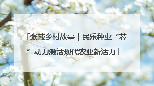 张掖乡村故事｜民乐种业“芯”动力激活现代农业新活力