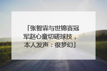 张智霖与世锦赛冠军赵心童切磋球技，本人发声：很梦幻