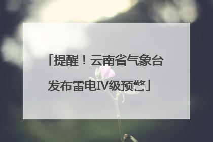 提醒！云南省气象台发布雷电Ⅳ级预警
