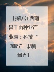探访江西南昌千亩种业产业园：科技“加码” 果蔬飘香