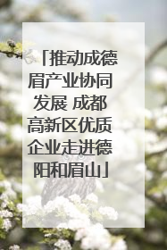 推动成德眉产业协同发展 成都高新区优质企业走进德阳和眉山