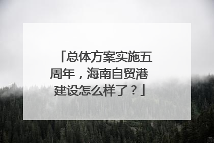 总体方案实施五周年，海南自贸港建设怎么样了？