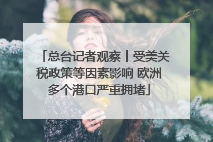 总台记者观察丨受美关税政策等因素影响 欧洲多个港口严重拥堵