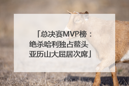 总决赛MVP榜：绝杀哈利独占鳌头 亚历山大屈居次席