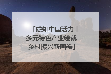感知中国活力丨多元特色产业绘就乡村振兴新画卷