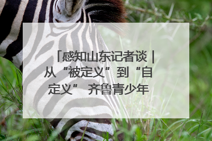 感知山东记者谈｜从“被定义”到“自定义” 齐鲁青少年书写时代新篇