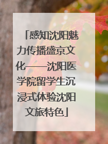感知沈阳魅力传播盛京文化——沈阳医学院留学生沉浸式体验沈阳文旅特色