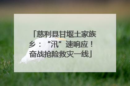 慈利县甘堰土家族乡：“汛”速响应！奋战抢险救灾一线