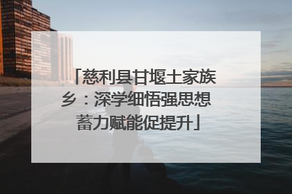 慈利县甘堰土家族乡：深学细悟强思想 蓄力赋能促提升