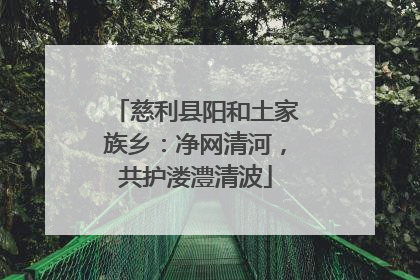慈利县阳和土家族乡：净网清河，共护溇澧清波