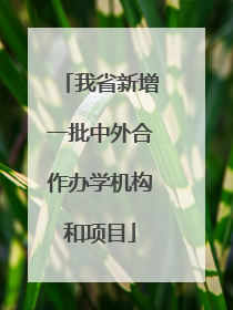 我省新增一批中外合作办学机构和项目