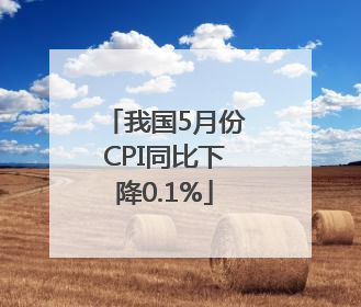 我国5月份CPI同比下降0.1%