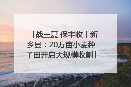 战三夏 保丰收丨新乡县：20万亩小麦种子田开启大规模收割