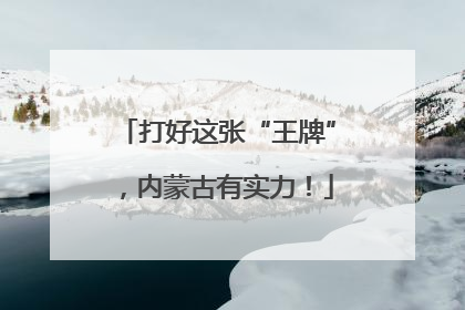 打好这张“王牌”，内蒙古有实力！