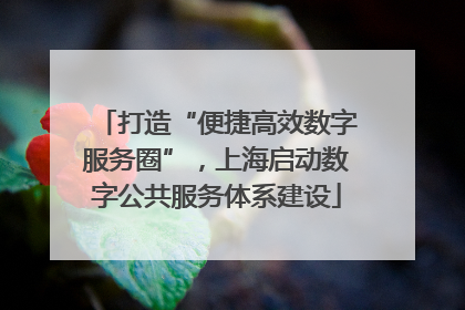 打造“便捷高效数字服务圈”，上海启动数字公共服务体系建设