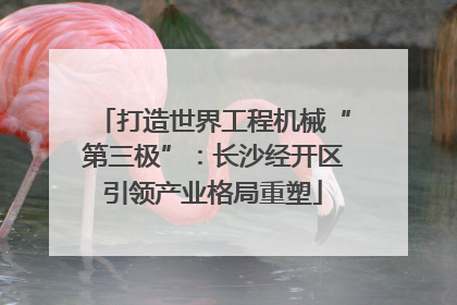 打造世界工程机械“第三极”：长沙经开区引领产业格局重塑