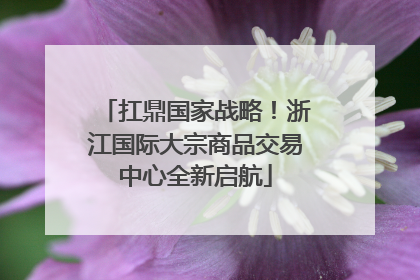扛鼎国家战略！浙江国际大宗商品交易中心全新启航