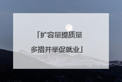 扩容量提质量 多措并举促就业