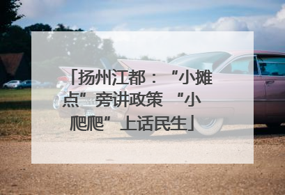 扬州江都：“小摊点”旁讲政策 “小爬爬”上话民生