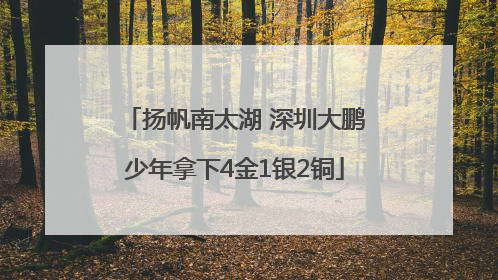 扬帆南太湖 深圳大鹏少年拿下4金1银2铜