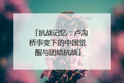 抗战记忆：卢沟桥事变下的中国觉醒与团结抗战