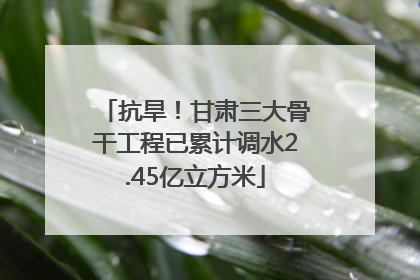 抗旱！甘肃三大骨干工程已累计调水2.45亿立方米