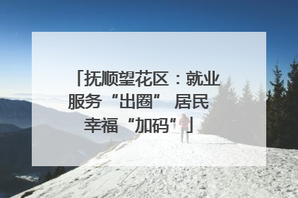 抚顺望花区：就业服务“出圈” 居民幸福“加码”