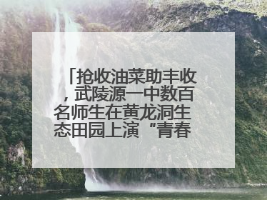 抢收油菜助丰收，武陵源一中数百名师生在黄龙洞生态田园上演“青春助农记”