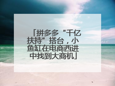 拼多多“千亿扶持”搭台，小鱼缸在电商西进中找到大商机