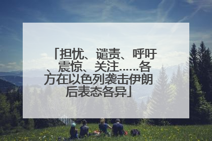 担忧、谴责、呼吁、震惊、关注……各方在以色列袭击伊朗后表态各异