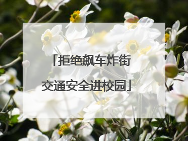 拒绝飙车炸街 交通安全进校园