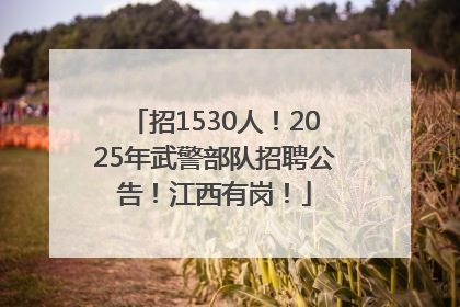 招1530人！2025年武警部队招聘公告！江西有岗！